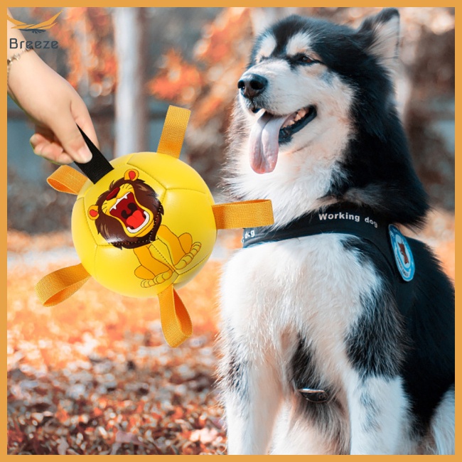 Bóng Đá Đồ Chơi Đa Năng Dành Cho Chó Cỡ Nhỏ / Vừa / Lớn