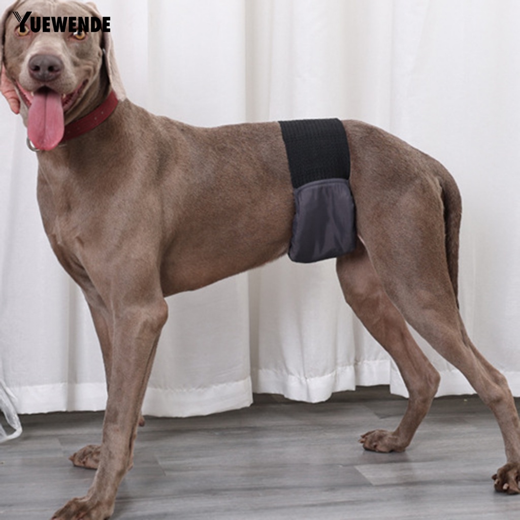 Yue.z Đai Vệ Sinh Co Giãn Sử Dụng Hàng Ngày Cho Thú Cưng