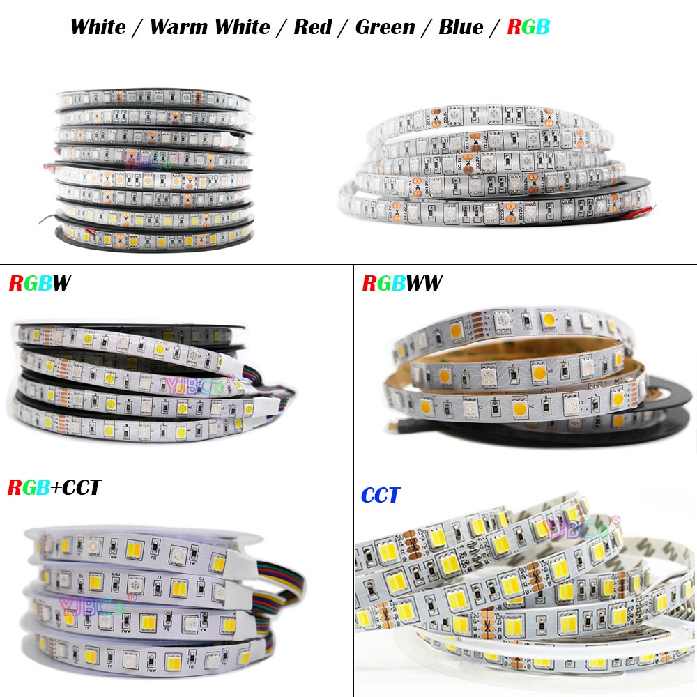 Cuộn Dây Đèn LED 12V 24V 5Meters 5050 CCT / Trắng Ấm / Đỏ / Xanh Lá / Xanh Dương / RGB / RGBW / RGBW