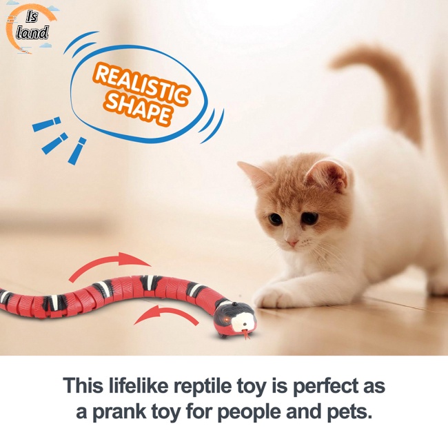 [IS] Đồ Chơi Tương Tác Tự Động Ngủ / Gián / Rắn / Bọ Cánh Cứng Thông Minh Cho Trẻ Em