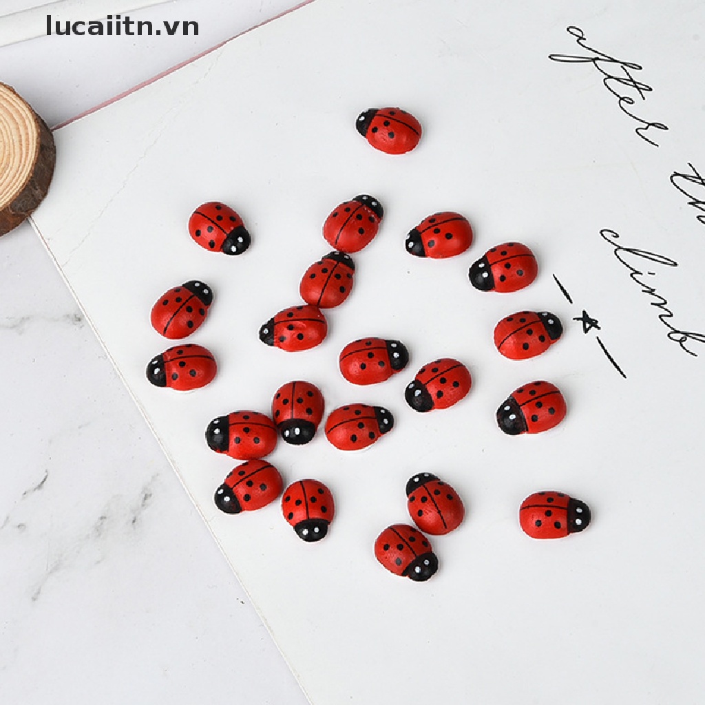 Set 100 Mô Hình Bọ Cánh Cứng Mini Dùng Để Trang Trí Nội Thất