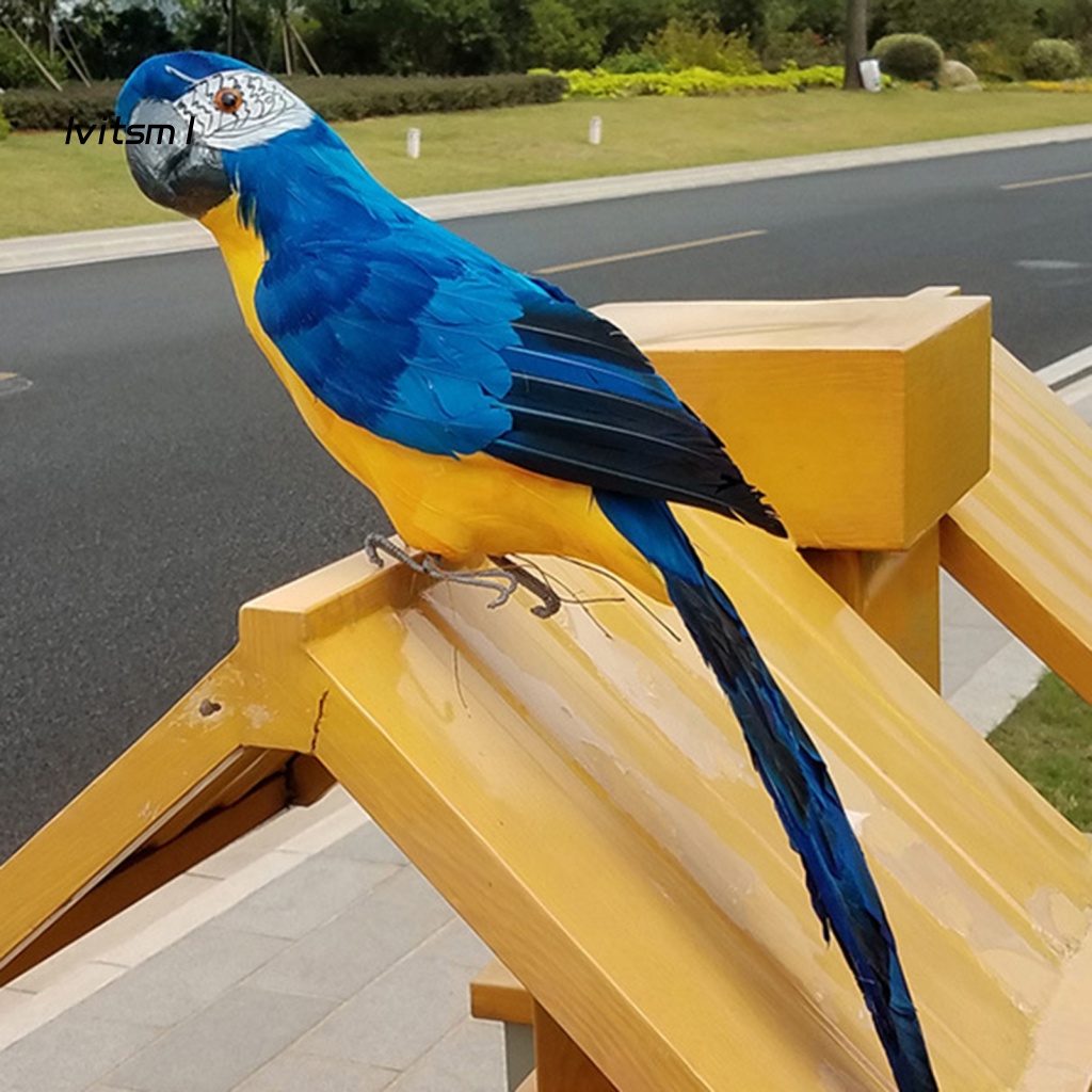 Mô Hình Chim Vẹt Mắt To 3D Bằng Xốp Màu Sắc Sống Động Dùng Trang Trí