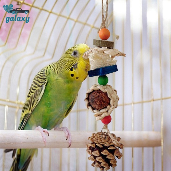 Galaxy Đồ Chơi Nhai Gặm Hình Nón Quả Thông Dành Cho Chim Vẹt