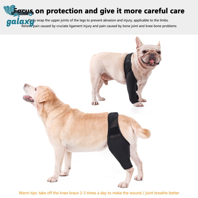 Đai Quấn Bảo Vệ Đầu Gối Đa Năng Có Thể Điều Chỉnh Cho Thú Cưng galaxy