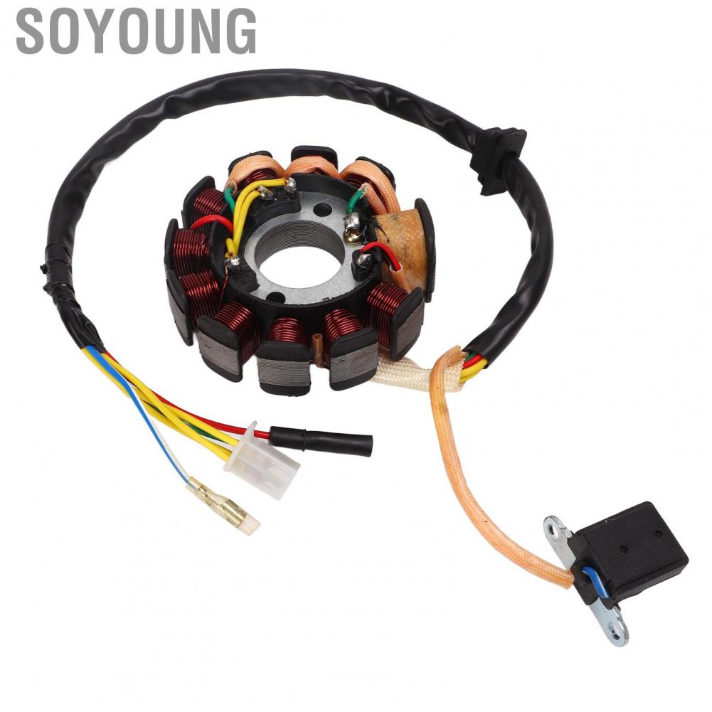 Soyoung Generator Stator Coil  High Performance Easy Installation Magneto Generator Stator Coil High Temperature Resistant 11 Coil  for Scooter
