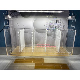 Bể cá betta, Bể cá Acrylic, Bể cá vách ngăn