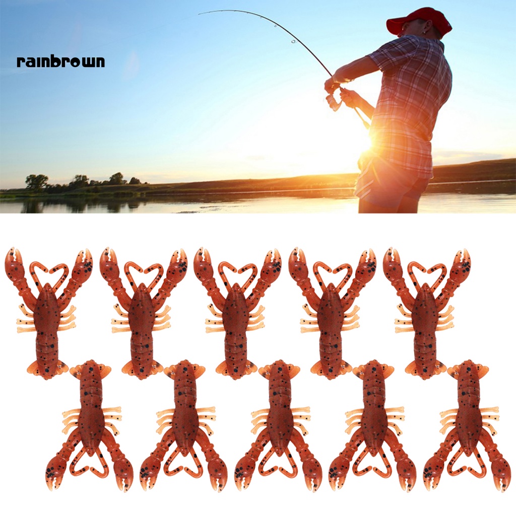 &lt; Rainbrown &gt; 10 Cái 4cm / 0