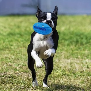 (MớI) Bóng LướI ĐựNg Đồ Chơi Cho Thú Cưng