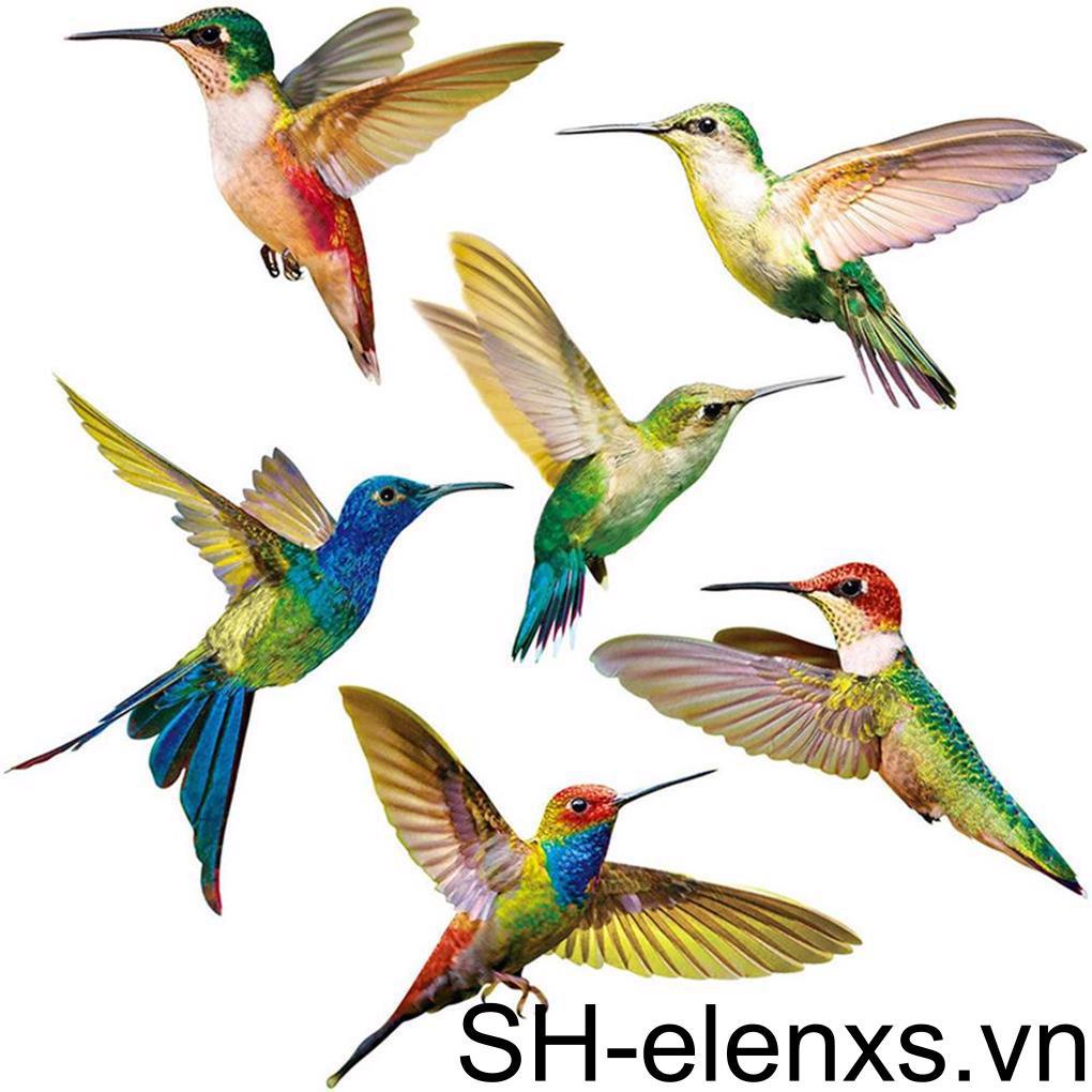 Bộ 6 Miếng Dán Cửa Sổ Chống Va Chạm Chống Thấm Nước
