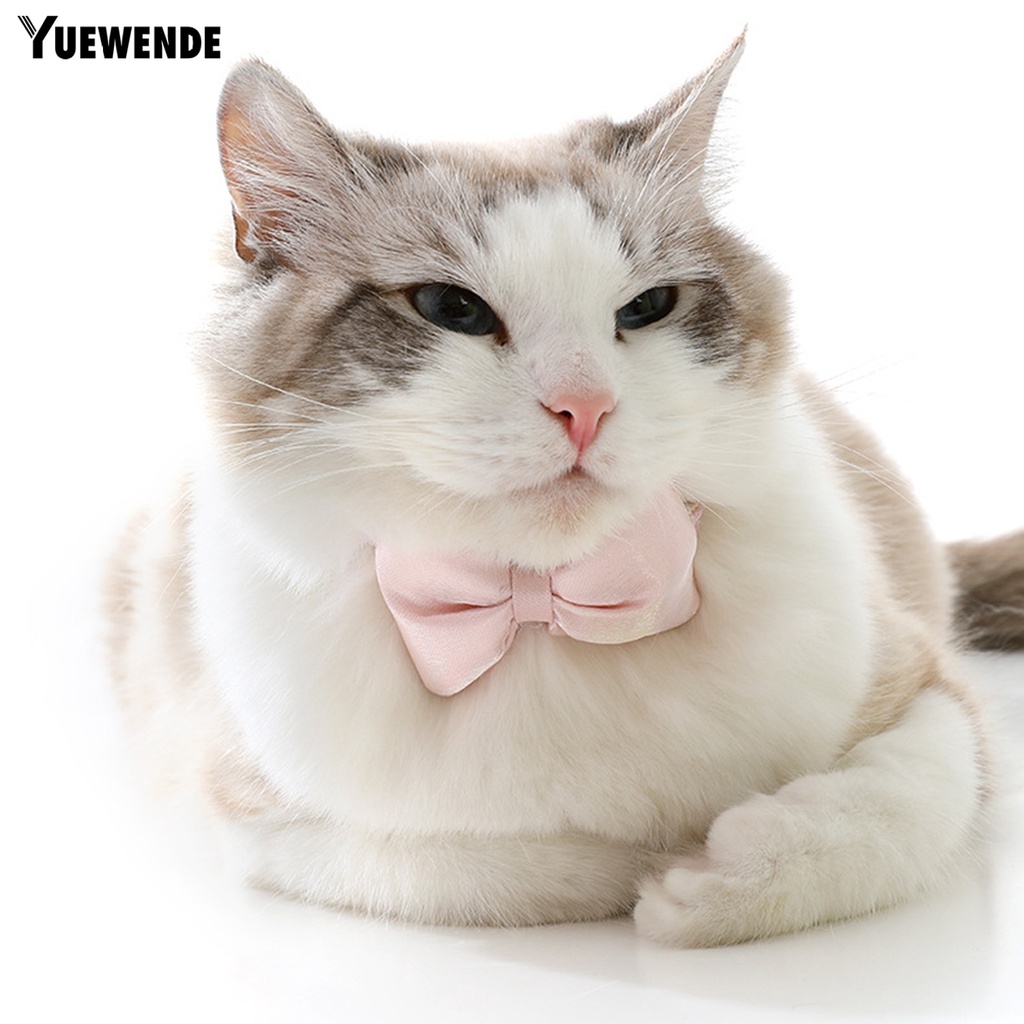 Vòng Cổ Đính Nơ Bằng Lụa Siêu Mềm Chống Mài Mòn Có Thể Điều Chỉnh Dùng Chụp Ảnh Cho Thú Cưng