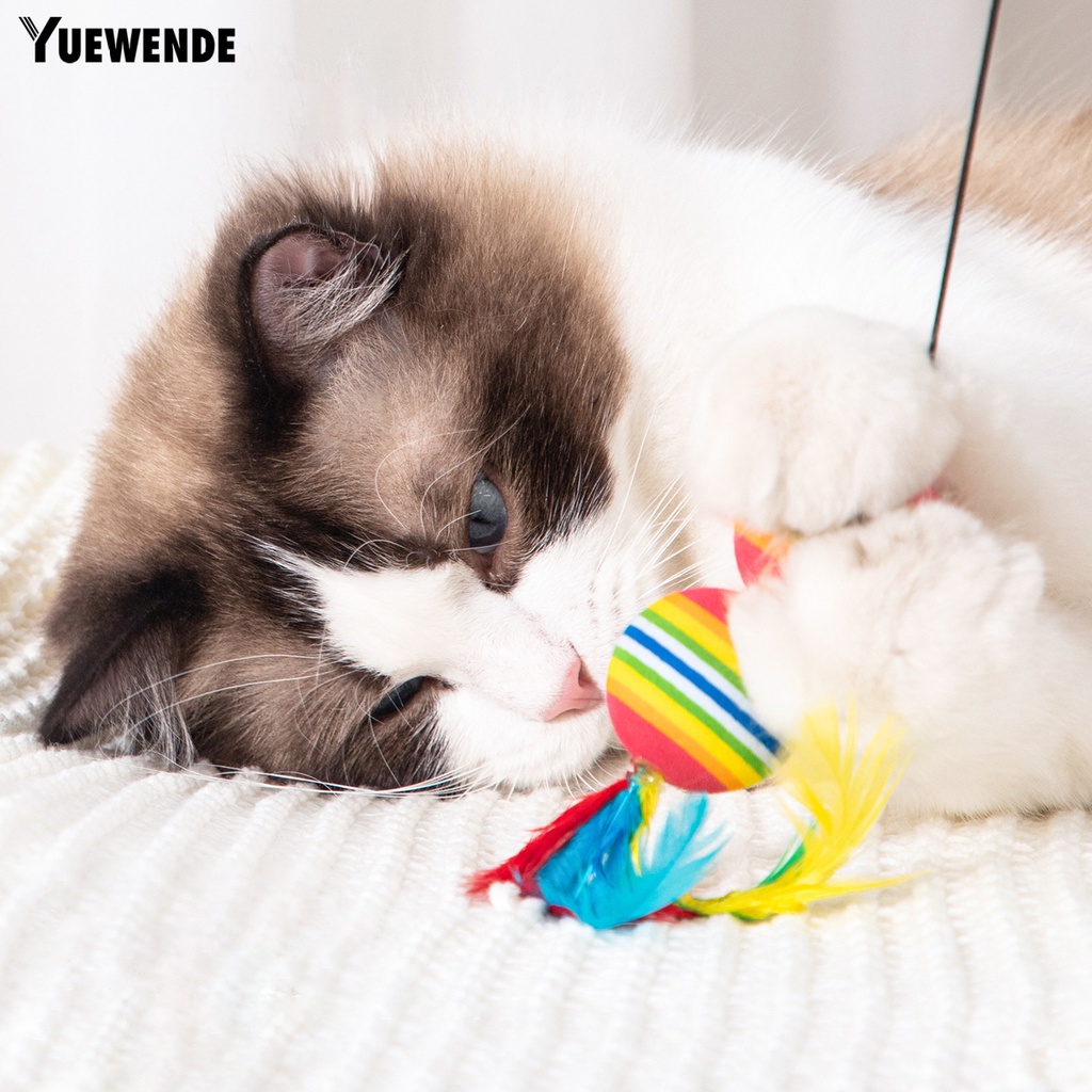 Bộ 2 Đồ Chơi Quả Bóng EVA Nhiều Màu Sắc Tươi Sáng Chống Cắn Thân Thiện Với Môi Trường Không Mùi Cho Mèo Cưng