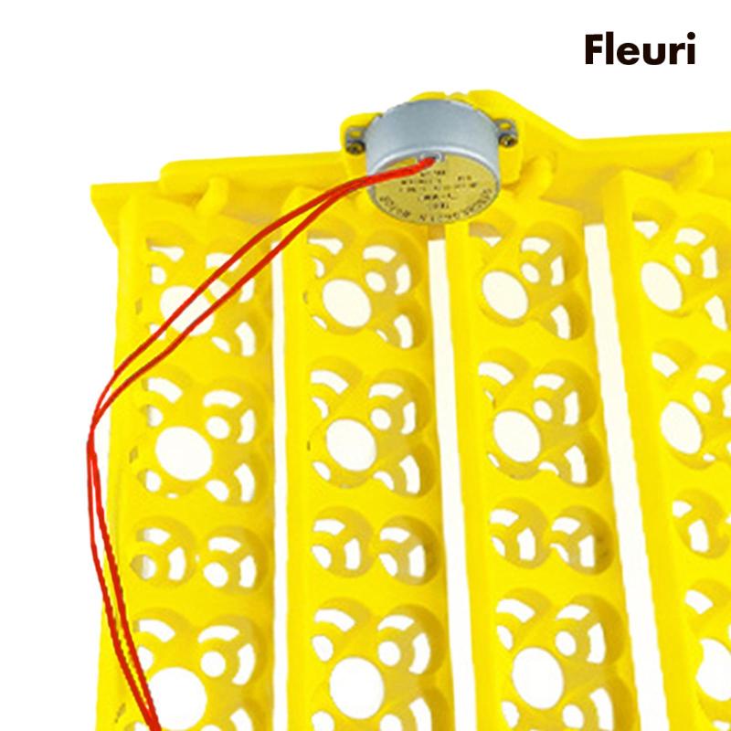 Khay Ấp Trứng 16 Ngăn Tiện Dụng Cho Chim / Ngỗng