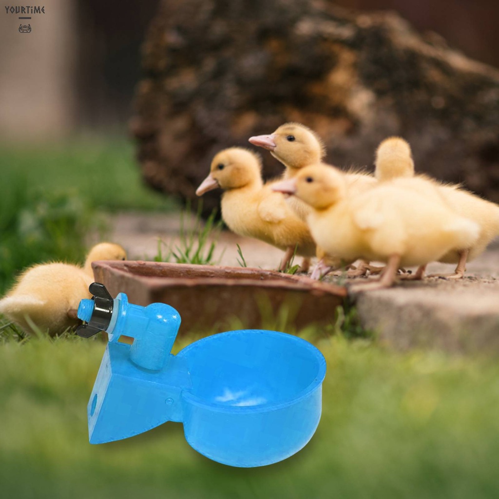 Set 6 Bát Uống Nước Tự Động Cho Gà Vịt