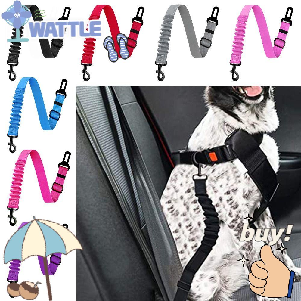 Dây ThắT An ToàN Co DãN Cho Thú Cưng