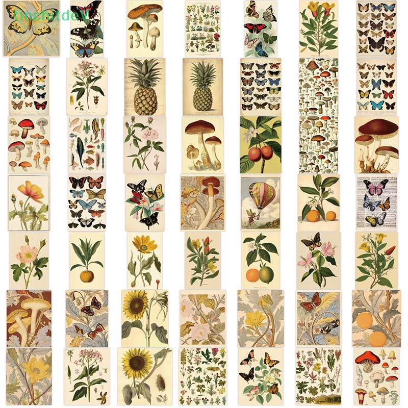 [TinchitdeV] 50 Miếng Dán Hình Trái Cây Hoạt Hình Graffiti Đơn Giản Phong Cách Retro Dành Cho Laptop [Mới]