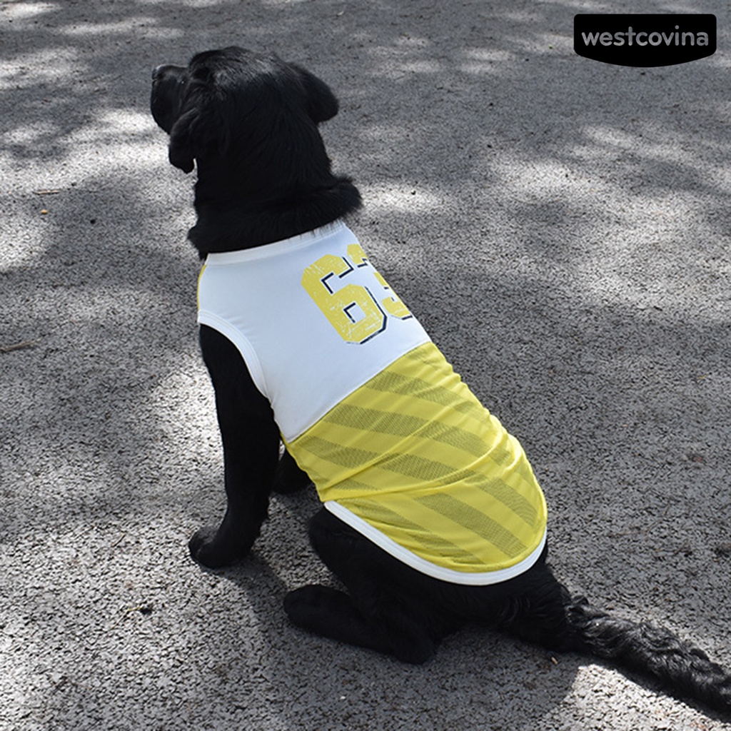 [COD]♞Áo Tank Top Thể Thao Thấm Hút Mồ Hôi Nhanh Khô Cho Thú Cưng