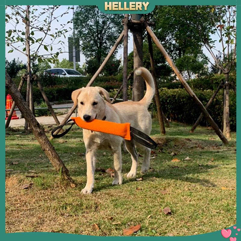 Đồ Chơi Nhai Gặm Hai Tay Cầm Mềm Mại Dành Cho Cún Cưng