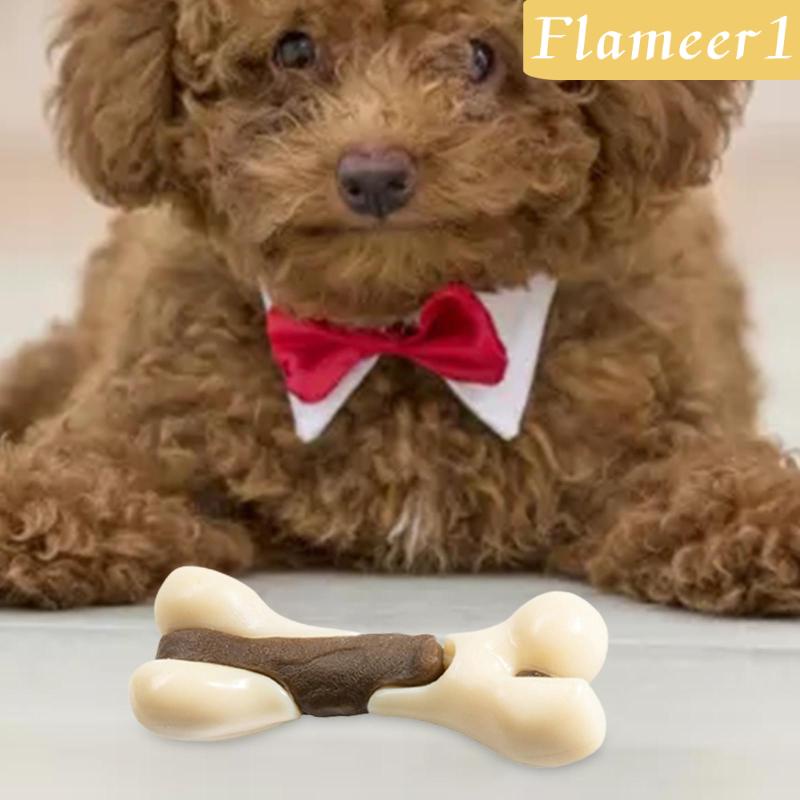 Đồ Chơi Gặm Thư Giãn Chống Cắn Cho Chó Nhỏ Hiệu Flameameer1