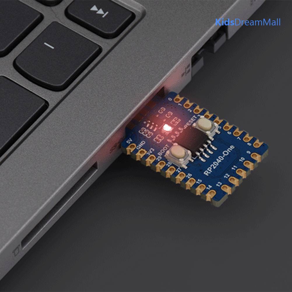 Bảng MạCh PháT TriểN RP2040 4MB Flash 29 X GPIO Pins