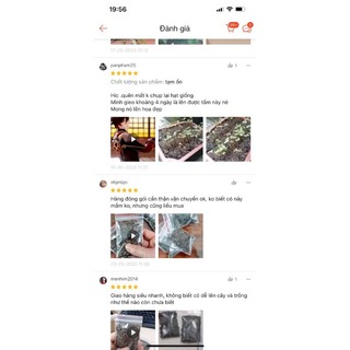 Hạt giống hoa chuông gió(1 gói 200h đủ màu)