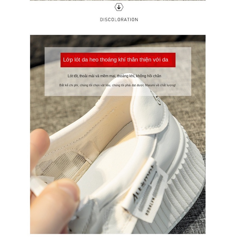 Ốp Giày Thể Thao Đế Dày Thoáng Khí Thời Trang 2023 Cho Nữ