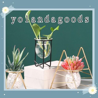 Bộ bình Terrarium trồng cây bằng thủy tinh phối lồng sắt