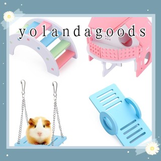 Đồ chơi tập thể thao bằng gỗ kiểu cầu vòm xích đu đầy màu sắc dành cho chuột hamster thú cưng