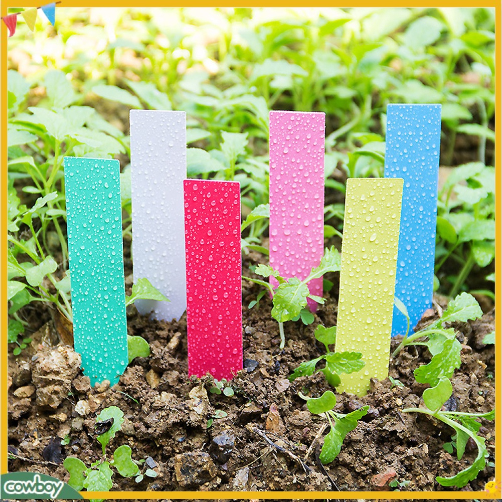 <cowboy> 100 cái pot stake tags nursery stick marker tool khay hạt giống nhãn thực vật bằng nhựa