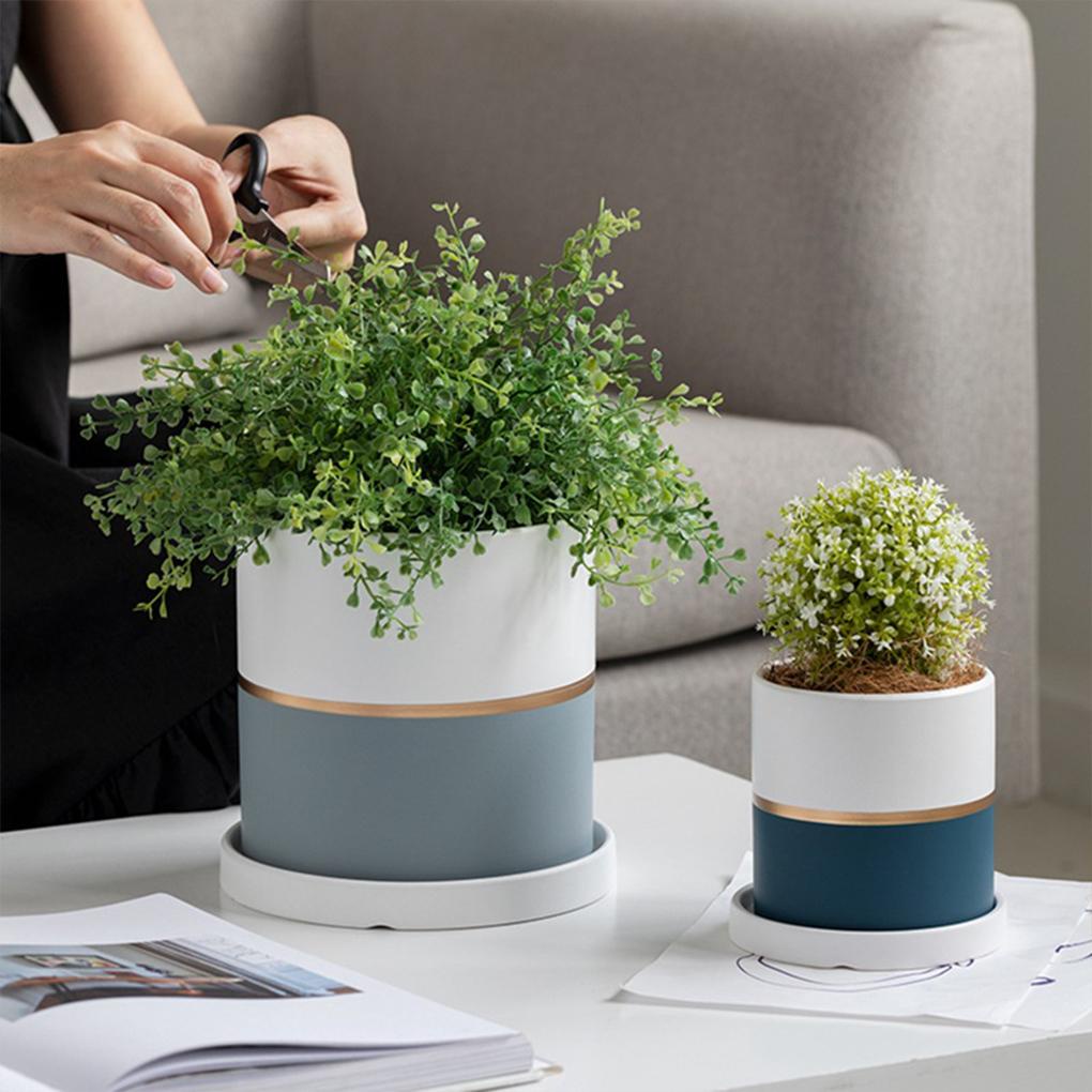 Chậu Cây Bằng Gốm Viền Vàng Đơn Giản Phong Cách Bắc Âu