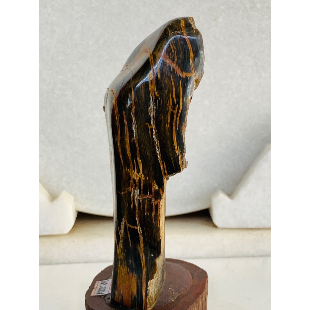 Gỗ Hoá Thạch tự nhiên .,......