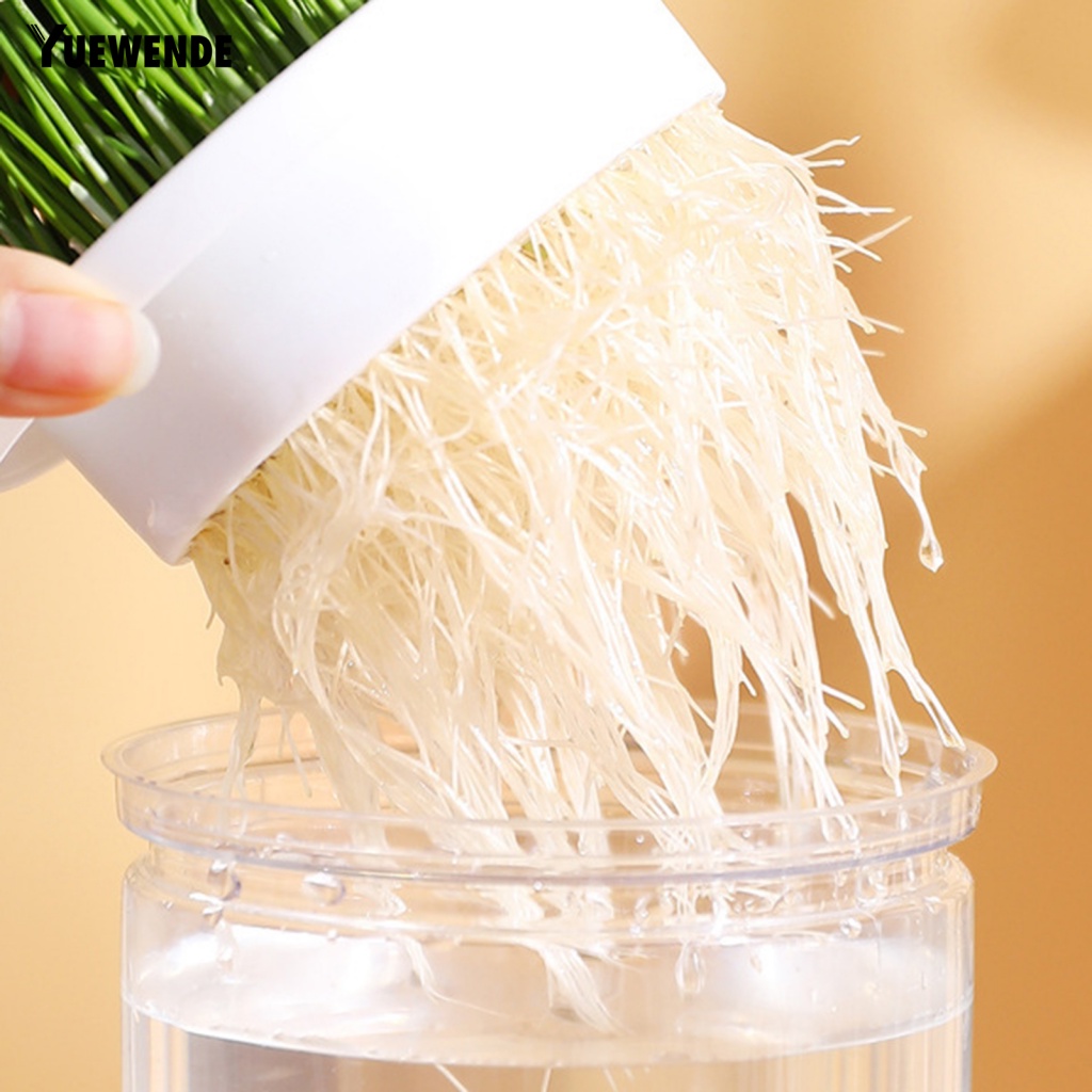 Hộp Trồng Cây Thủy Canh Không Cần Đất Dễ Làm Sạch