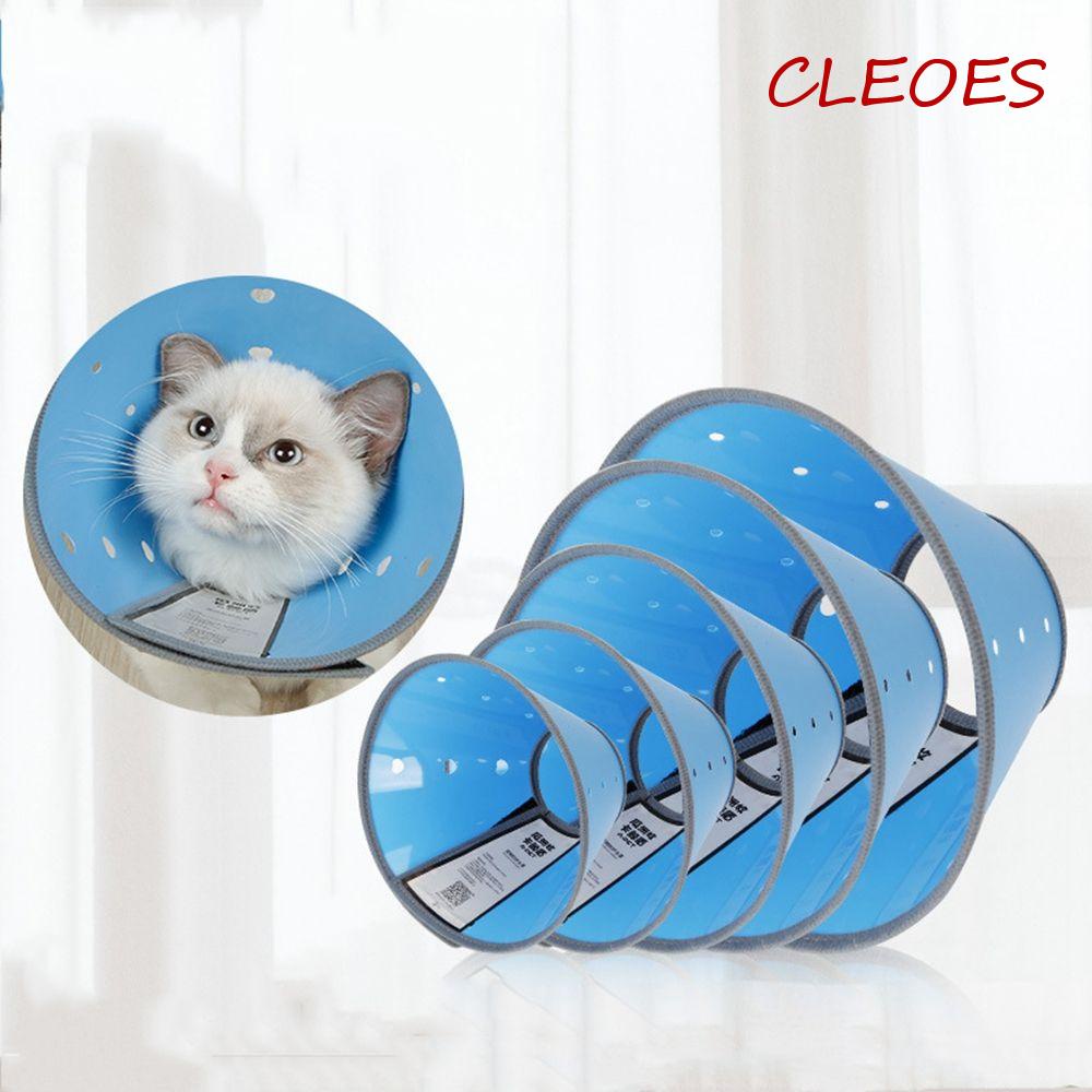 Vòng Cổ Trong Suốt Chống Cắn Cho Thú Cưng