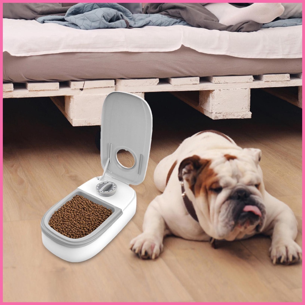 Máy Cho Thú Cưng Ăn Và Uống Nước Tự Động Có Thể Lập Trình