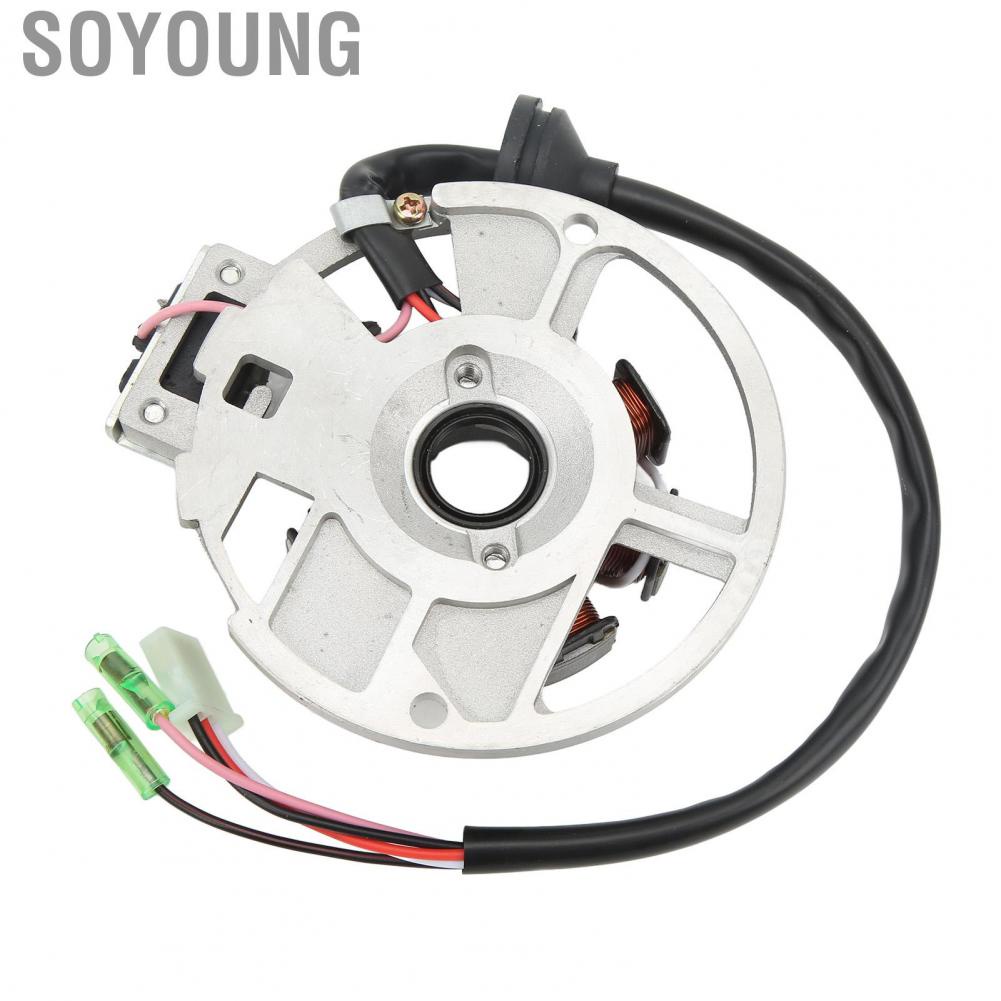 Soyoung 0451000  650234 Magneto Stator Coil Insulation Lead Wires  for ATV