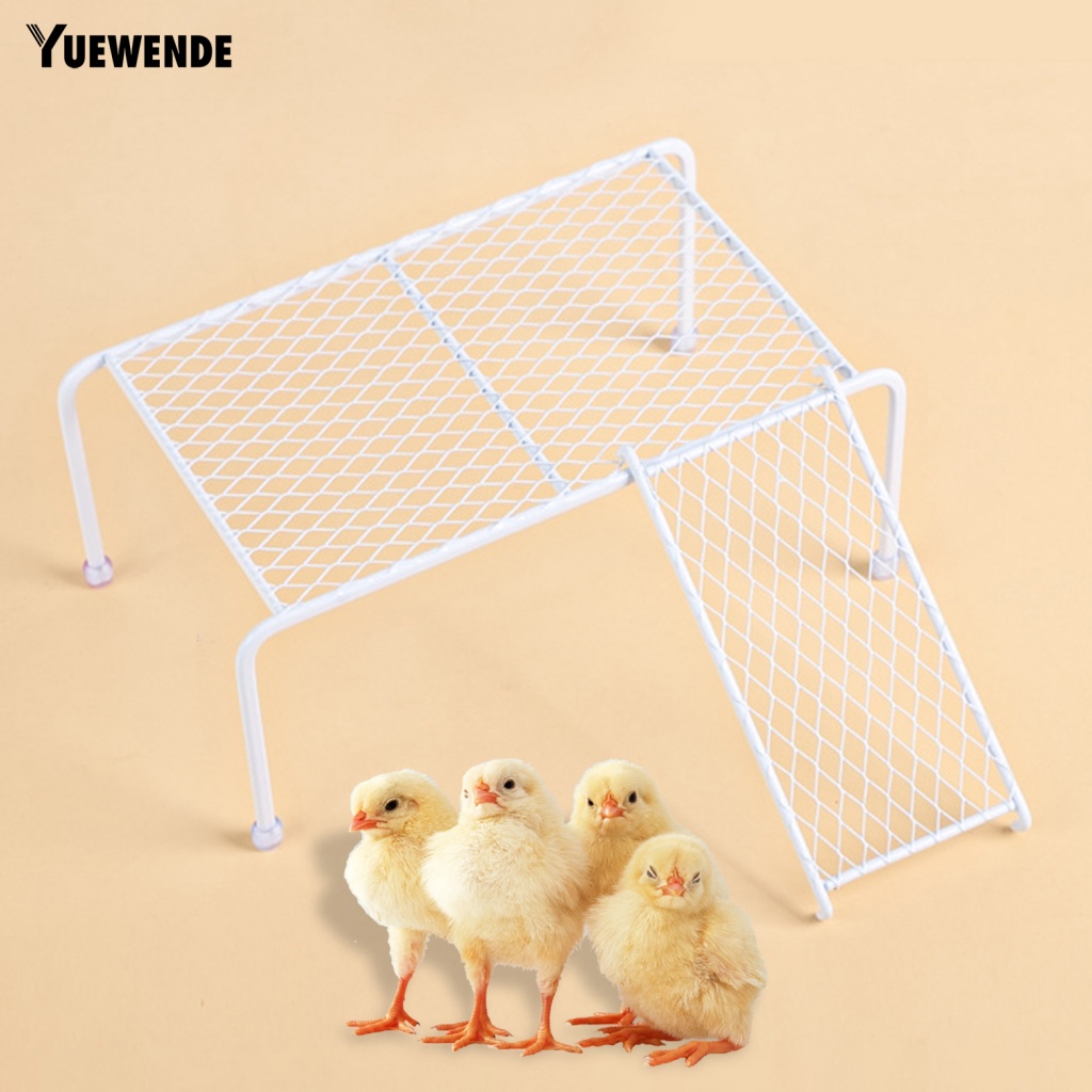 1 Bộ Bệ Lót Chuồng Gà / Leo Trèo Siêu Bền Chắc Chắn Sturdy