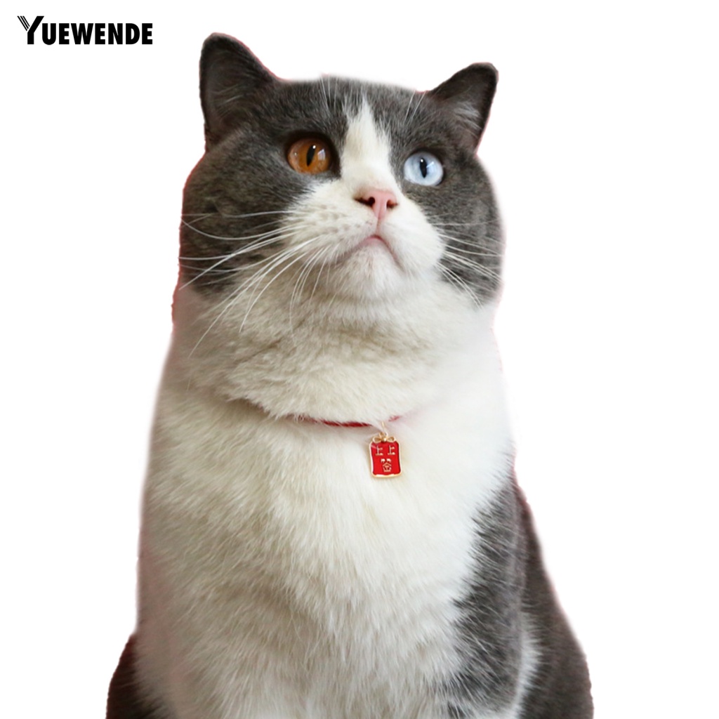 Vòng Cổ Dễ Dàng Điều Chỉnh Cho Thú Cưng