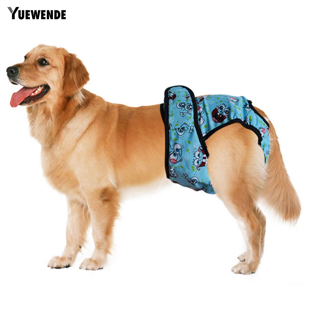 Tã Quần Sinh Lý In Họa Tiết Hoạt Hình Dễ Thương Giặt Được Tiện Dụng Cho Nữ