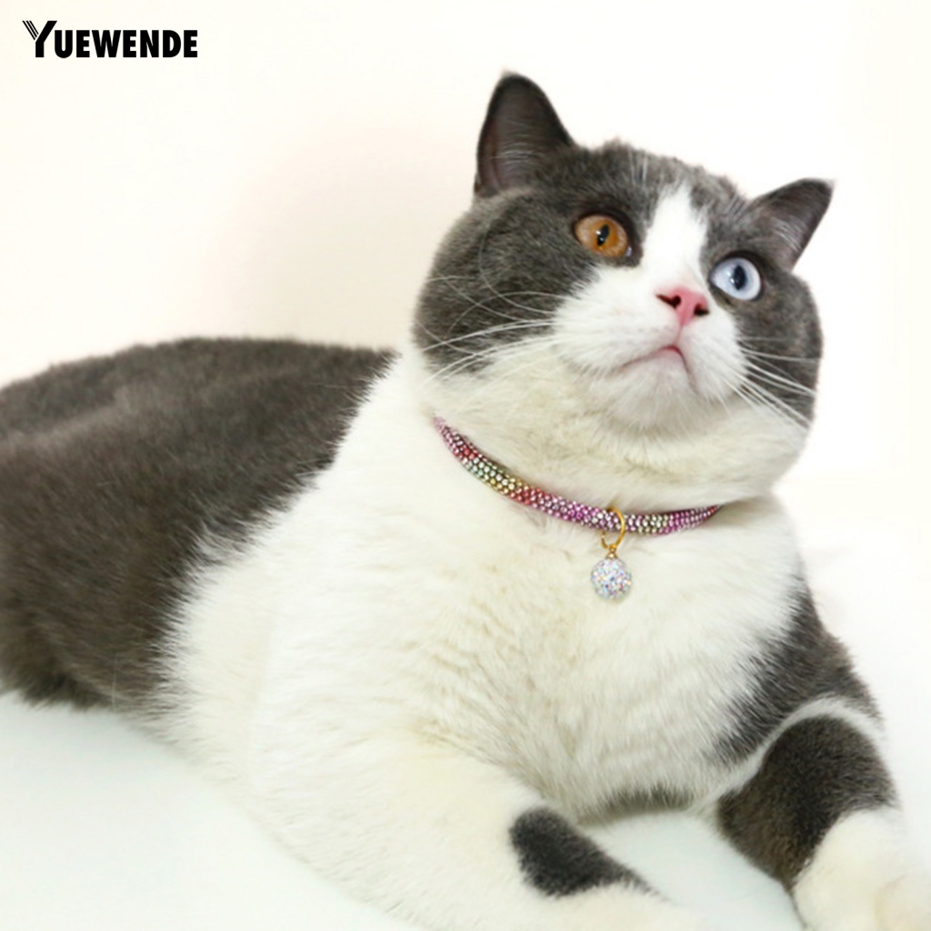 Vòng Cổ Cho Thú Cưng Chó Mèo Kèm Mặt Dây Chuyền