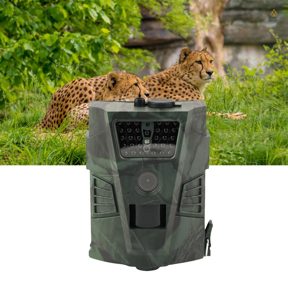 Camera Săn Bắt HT001 Cảm Biến Hồng Ngoại Chống Thấm Nước IP54