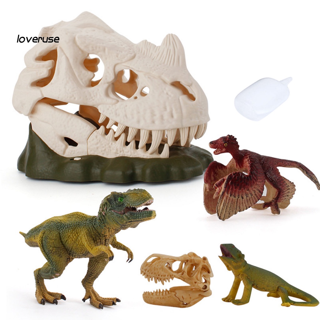 Set 6 Mô Hình Đầu Lâu Hóa Thạch Khủng Long Có Thể Tái Sử Dụng