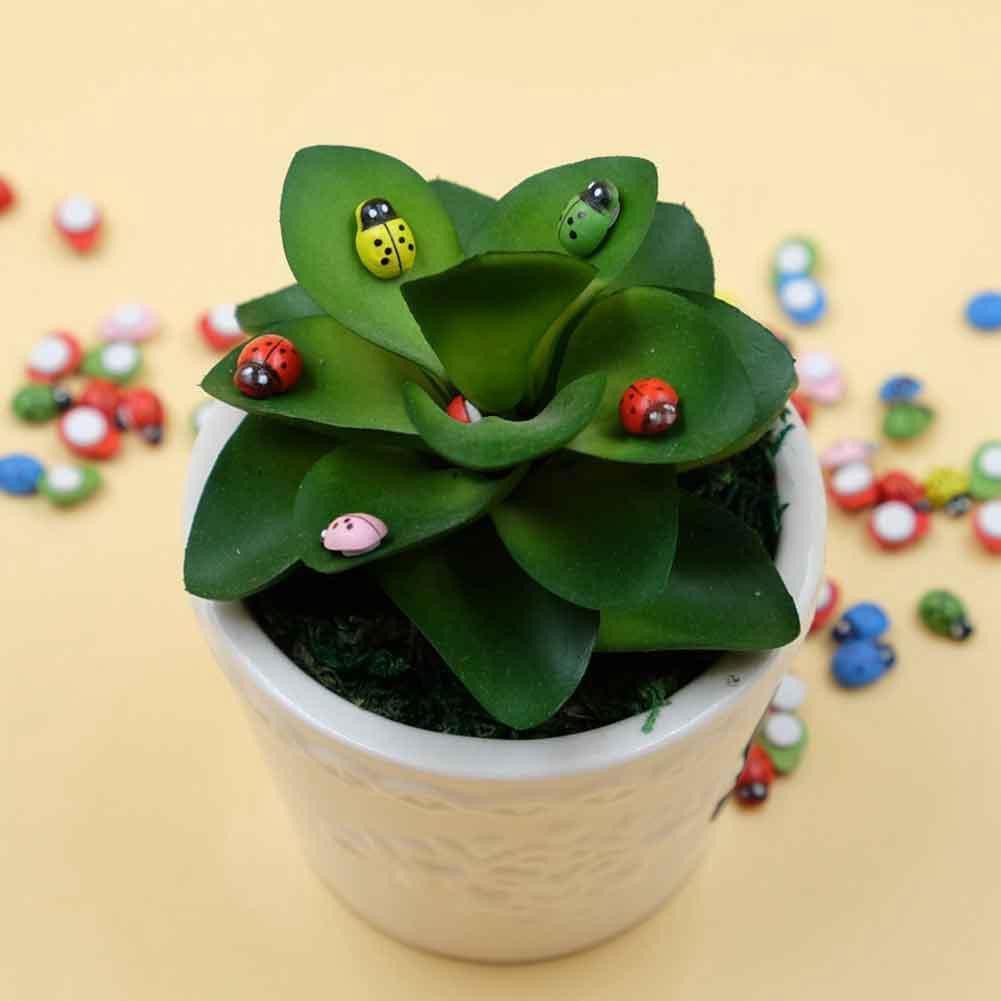 Mô Hình Tiểu Cảnh "Combo 10 bé Bọ Rùa Gỗ Mini" Trang Trí Sen Đá, Sân Vườn/ Chậu Cây, DYI, Terrarium