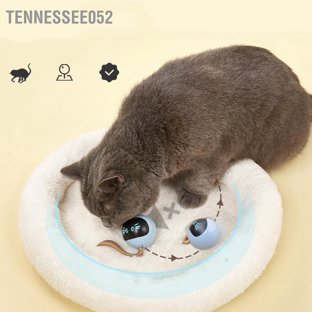 Tennessee052 Cat Active Rolling Ball Ánh sáng đầy màu sắc Sạc tròn Bóng lăn điện tự động cho mèo cưng