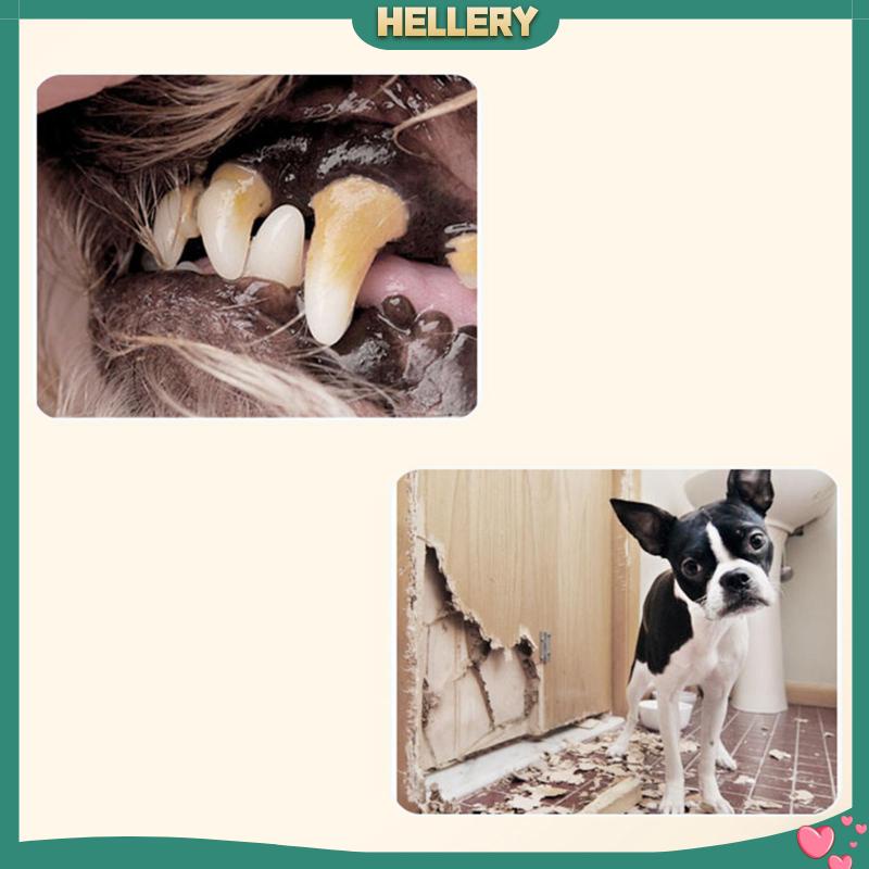 Đồ Chơi Cho Thú Cưng Gặm Giúp Tương Tác Cao Cấp