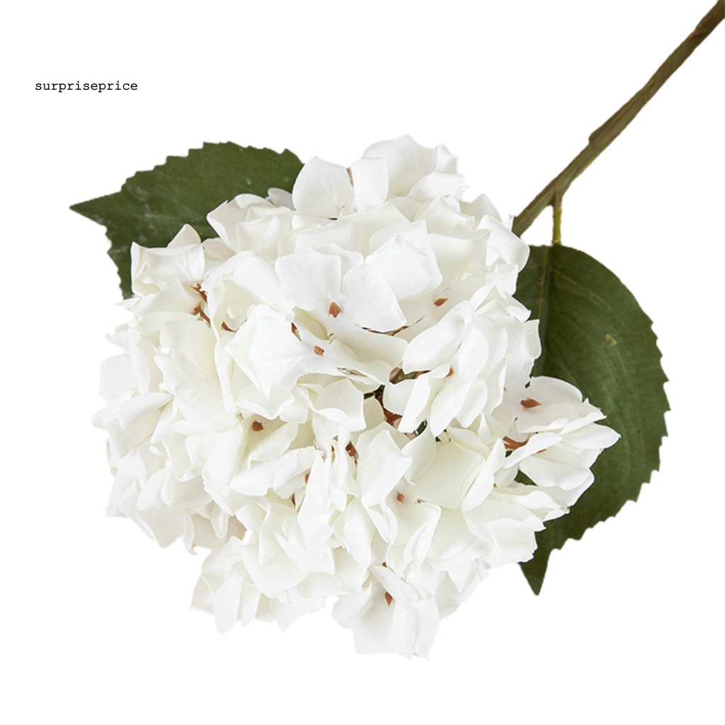 Spa Cánh Hoa Nhân Tạo Nhiều Lớp Dùng Trang Trí Phòng Khách / Tiệc Tùng DIY