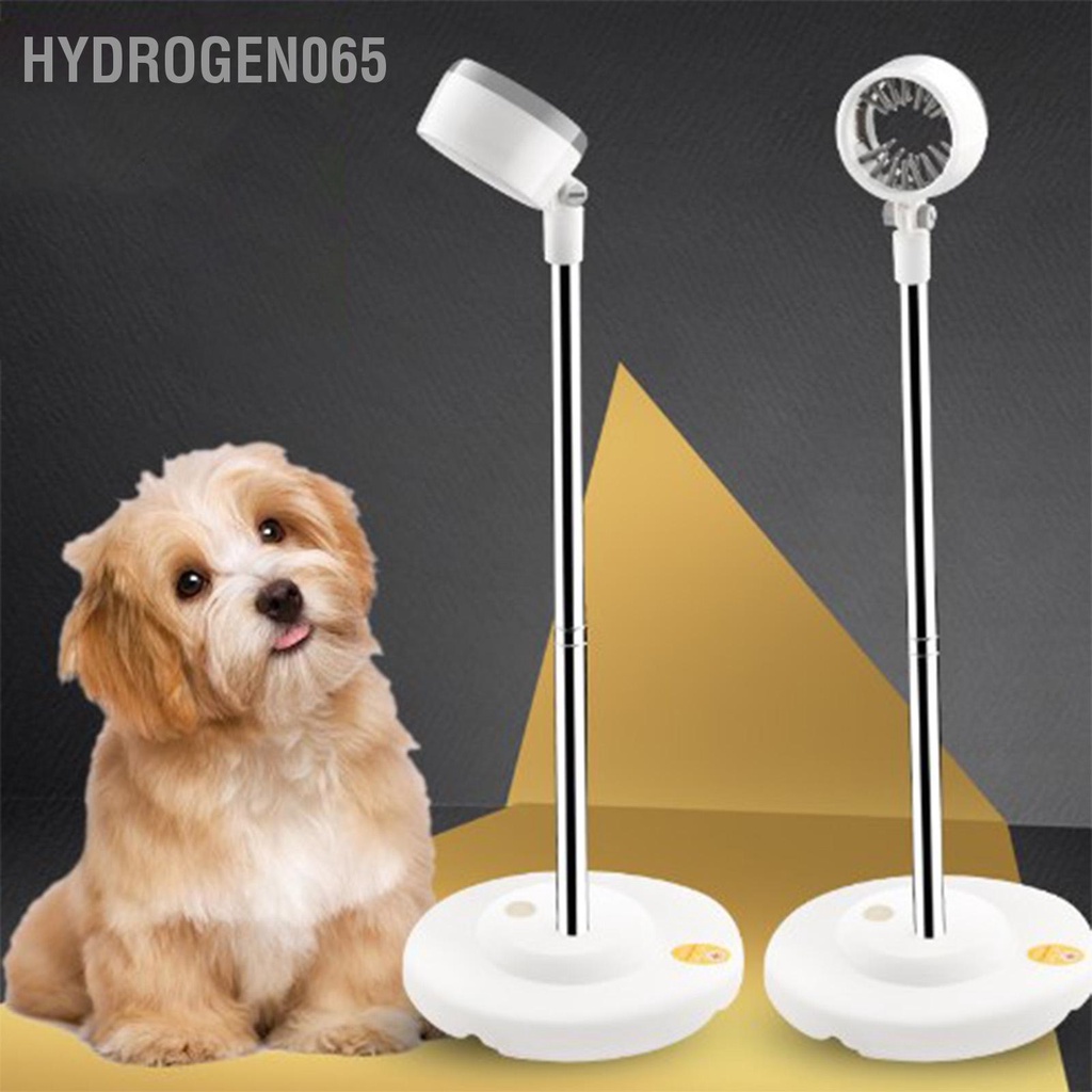 Hydrogen065 Máy Sấy Tóc Chân Đế Xoay Có Thể Điều Chỉnh Độ Cao Góc Miệng Răng Mềm Sàn Đứng Cho Phòng Tắm Gia Đình Salon