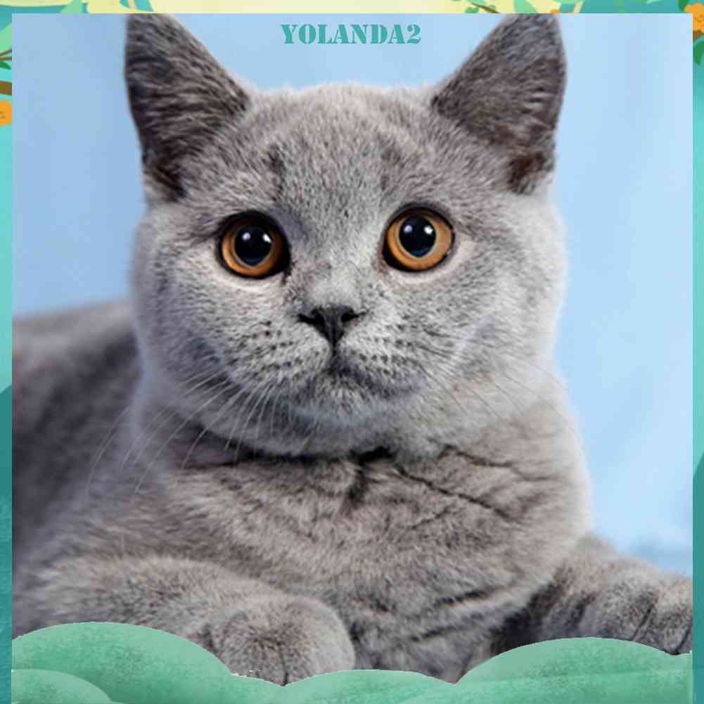 Tranh Đính Đá Kim Cương Toàn Bộ 5D DIY Hình Vẽ Mèo Trang Trí Nhà Cửa