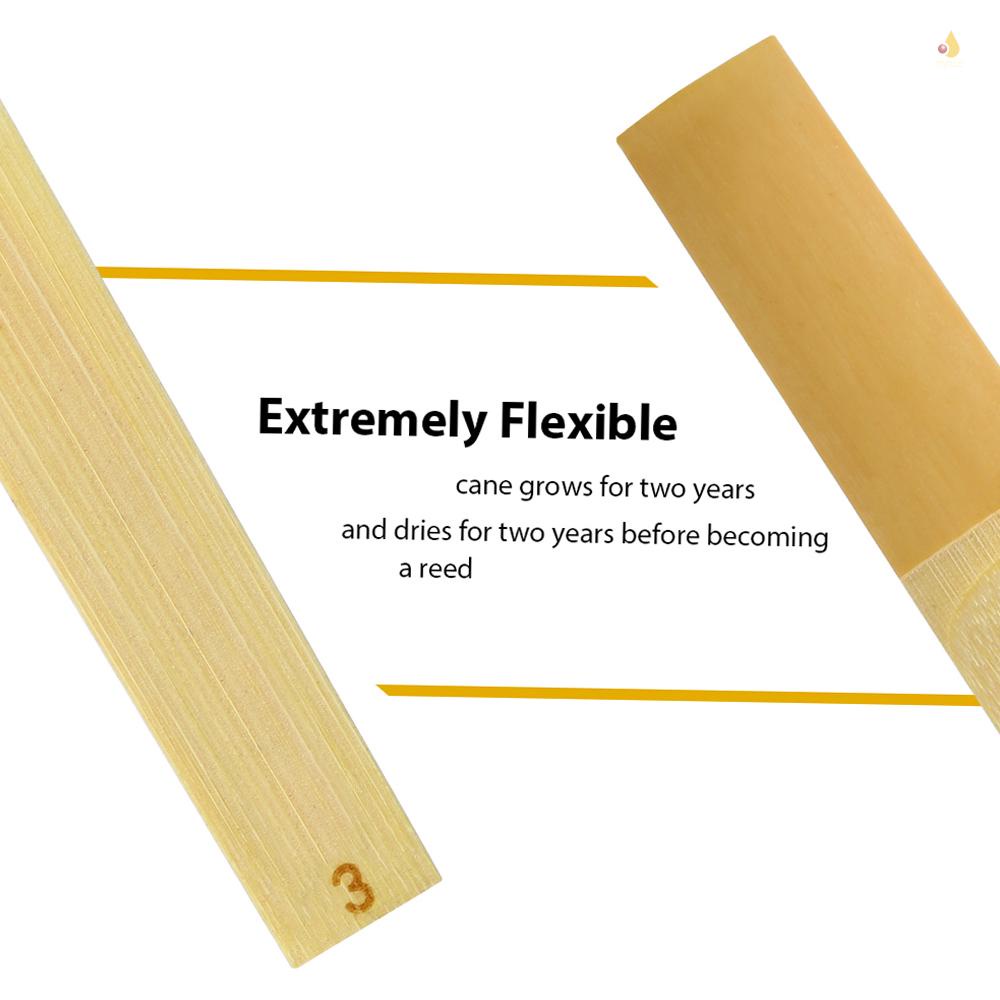 Kèn Clarinet Truyền Thống 3.0 / 10 Món Phụ Kiện