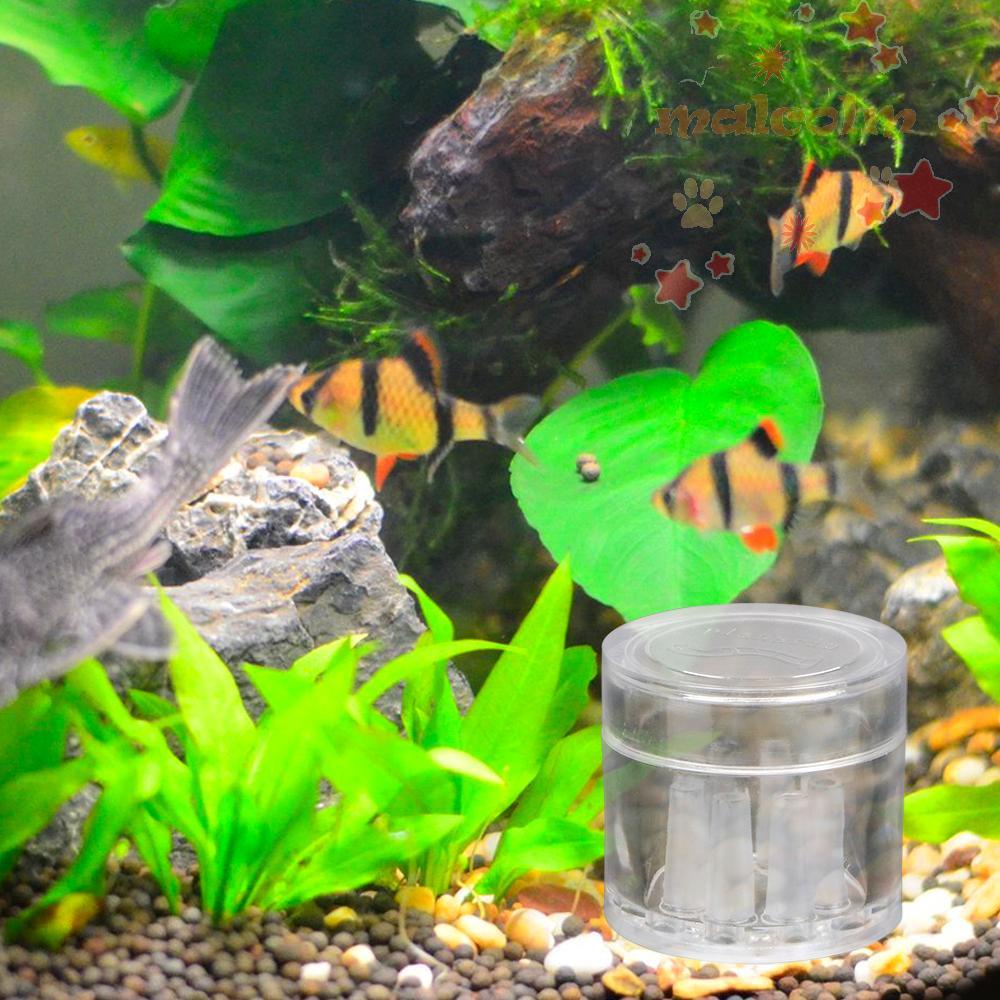 Dụng Cụ Bẫy Côn Trùng Trong Suốt Bằng Acrylic Tiện Dụng Cho Bể Cá