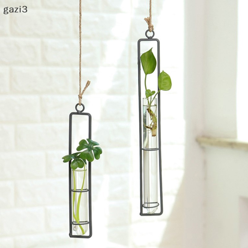 Chậu Hoa Treo Tường Bằng Thủy Tinh Trong Suốt Phong Cách Bắc Âu