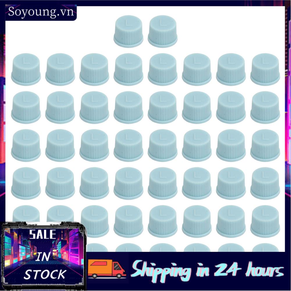 Soyoung Air Conditioning Valve Cover  Ideal Replacement Charging Port for Truck